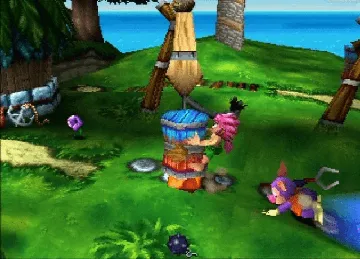 Tomba! 2 - The Evil Swine Return (US) screen shot game playing